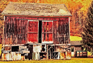 Unused Barn-Otsego County, NY