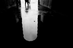 REFLECTIONS 08