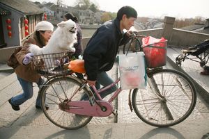 Lane life in Jiangnan076