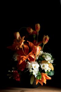 © Kathryn Jago