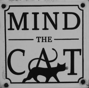 Mind the Cat