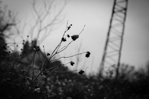 Fade Out