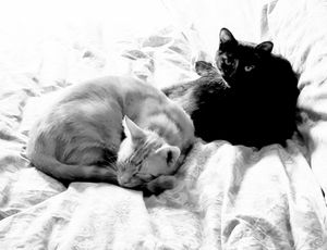 0scar & Olga_2