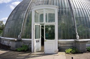 'Nest of Gladness' - Palm House, Kew Royal Botanic Gardens, Richmond, Surrey, U.K. © Mireille Schellhorn 2012