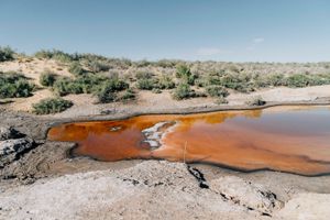 Sweet Salt of Emptiness