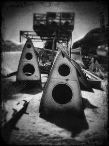 The Moment At Which The Sage Attempted To Turn Away But Realized It Was Too Late © Jeff Alu