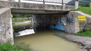 The flood