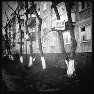 © elena.sh