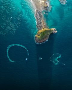 Guardian of the Nets: Hon Yen's Tranquil Embrace