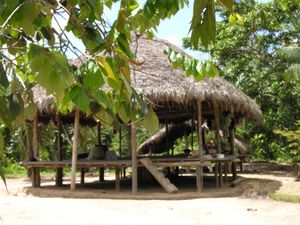 "Tanguntsa"