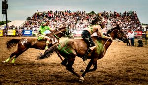 Full speed gallop trying to win
