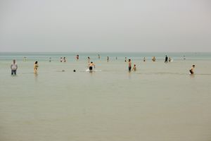 Bathers