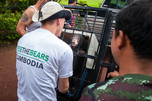 A five-month-old moon bear cub rescued in western Cambodia waits to be taken to Free The Bears’ compound at the Phnom Tamao Wildlife Rescue Center some 400kms away.