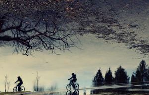 Spring Cycle