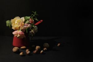 Nuts N' Roses
