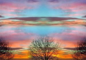 Composite light