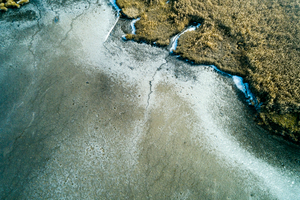 Lakeshore Operations | Ground Level Series #04