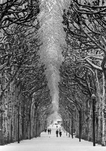Botanical Gardens, Paris