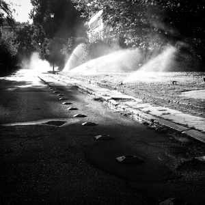 Morning light #1