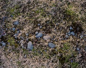 Icelandic Surfaces #24