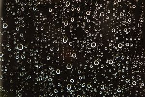 selbst – Regen II | self portrait – rain II