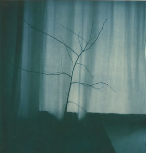 Untitled, Sehnzucht, 2015-2016