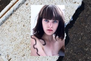 Polly neo