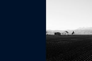 Barns