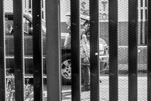 The Wall - in the cage #3
