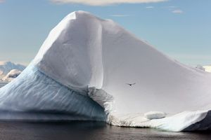 Antarctica I