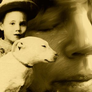 © Patricia Sandler