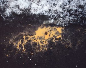Icelandic Surfaces #3