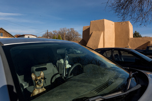 Street Fauna 1 - Dog [1]
