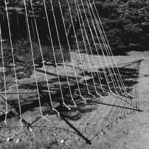 Ropes and Shadow, Hama Rikyu
