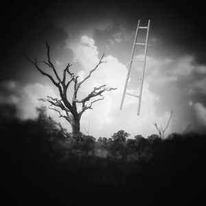 Climbing Ladder