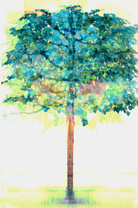 4 seasons