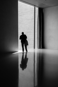 IN A POOL OF LIGHT