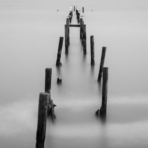 22 Gulls
