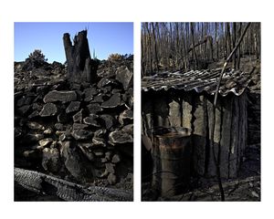 Portraits of a fire / Retratos de un incendio