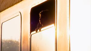 Barcs, Hungary. End of september, 2015. A young Afghan boy looks out from the window of the special train that should take him from the Croatian - Hungarian border to Austria. He watches the day's last rays of sun that - as the train is being loaded - is setting west, towards the destination of his long journey.