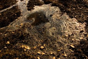 Fallen Man, Hegewisch Marsh, Calumet, 2007