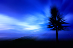 Blue Zone