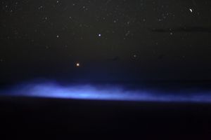 Celestial Body