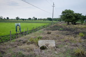 Politics, Costa Rica 2014.jpg
