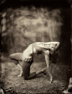 Tracy Bleier