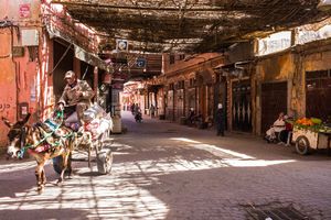 Marrakesh #6