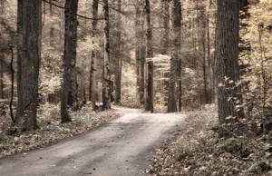 Winding Mountain Road