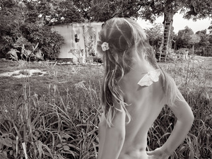 The Butterfly