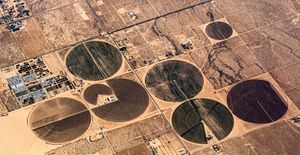 Albums from Above