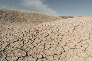 Sweet Salt of Emptiness